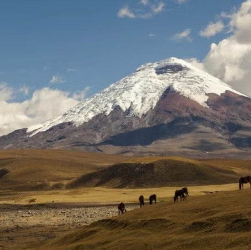 great-tours-ecuador-cotopaxi1