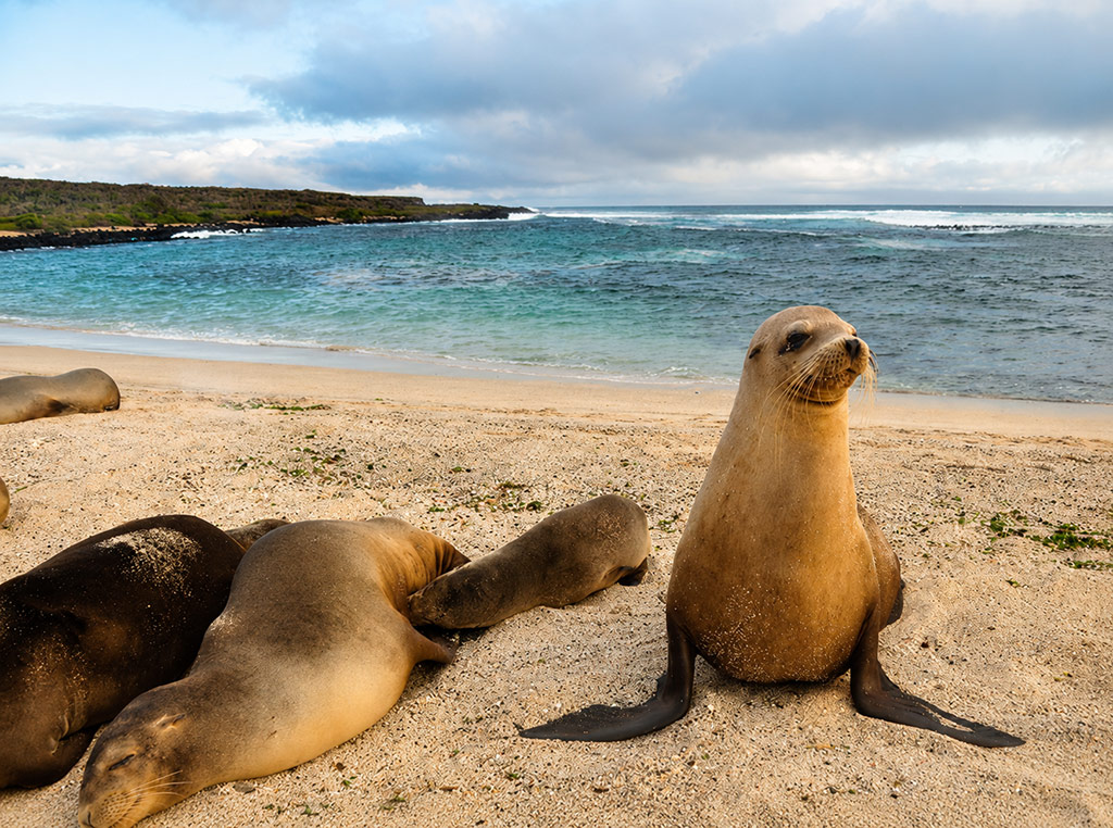 great-tours-ecuador-galapagos-island-1
