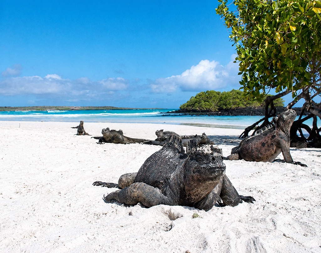 great-tours-ecuador-galapagos-island-10