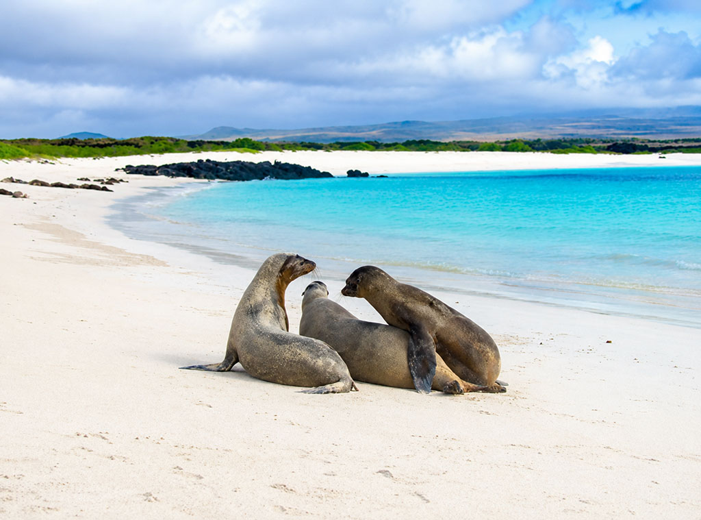 great-tours-ecuador-galapagos-island-11