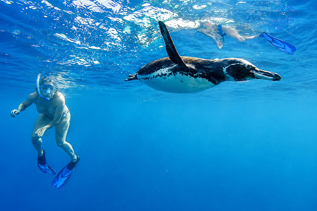 great-tours-ecuador-galapagos-island-14