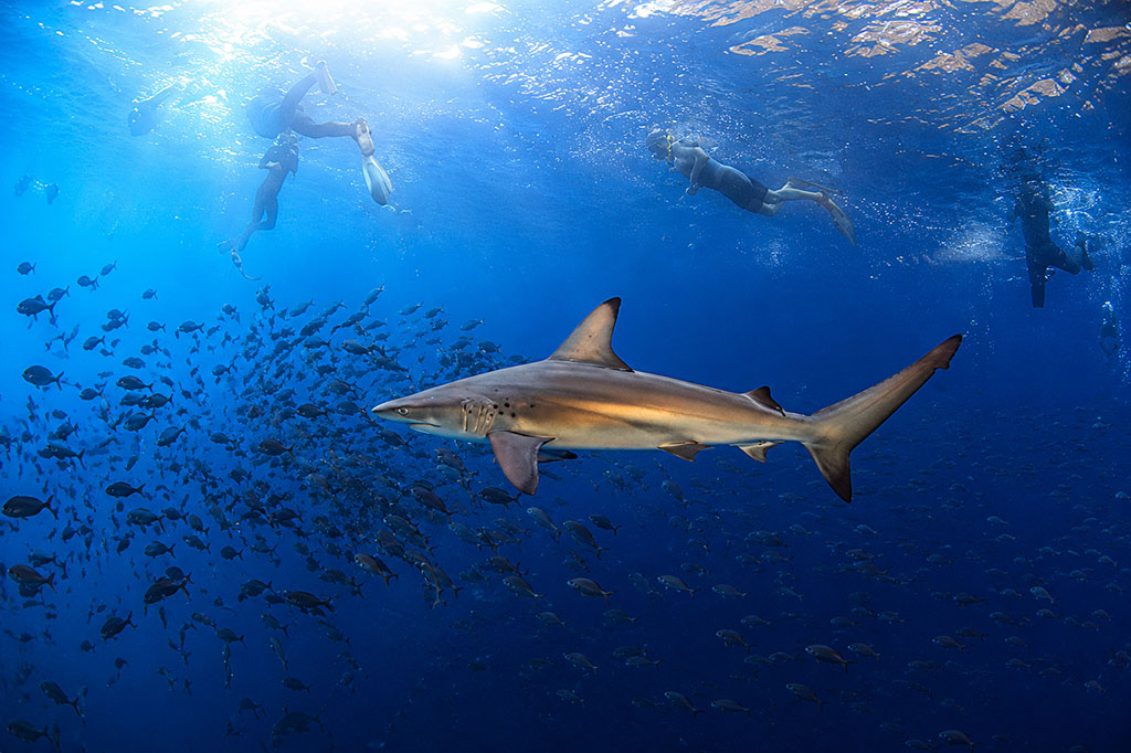 great-tours-ecuador-galapagos-island-15