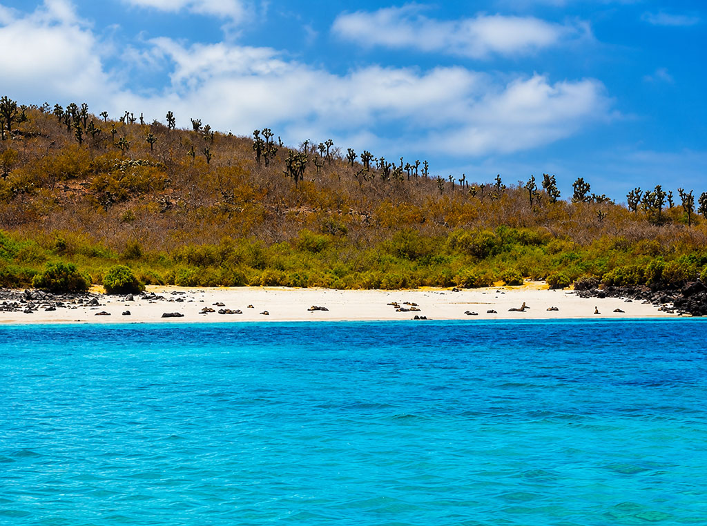 great-tours-ecuador-galapagos-island-16