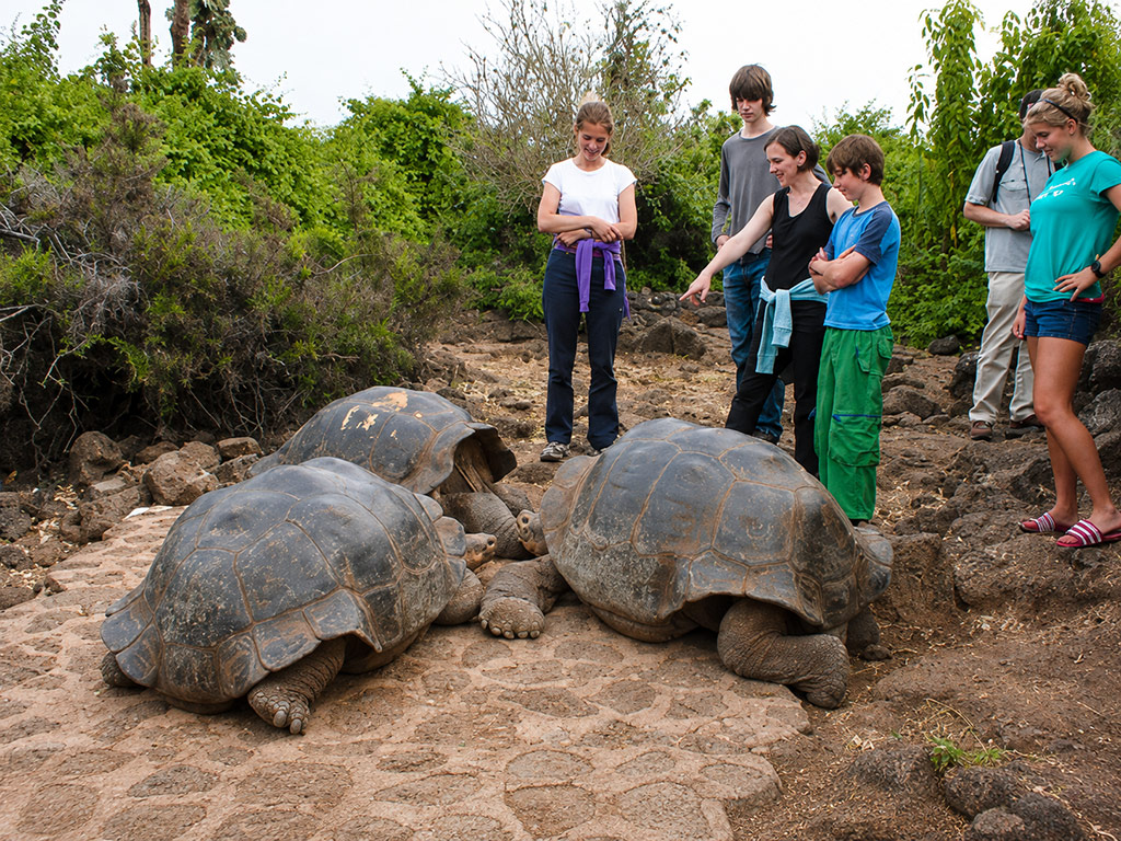 great-tours-ecuador-galapagos-island-17