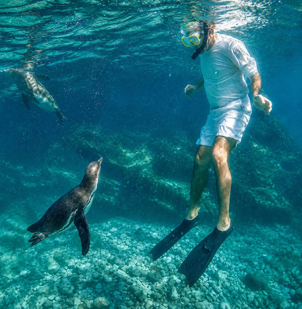 great-tours-ecuador-galapagos-island-21