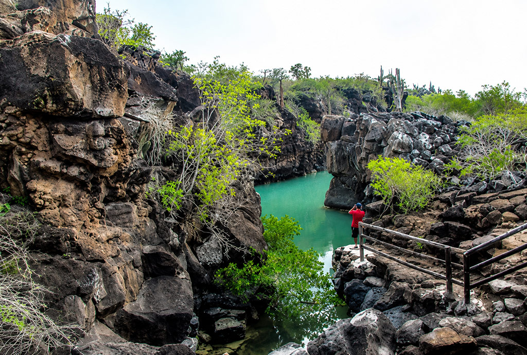 great-tours-ecuador-galapagos-island-4