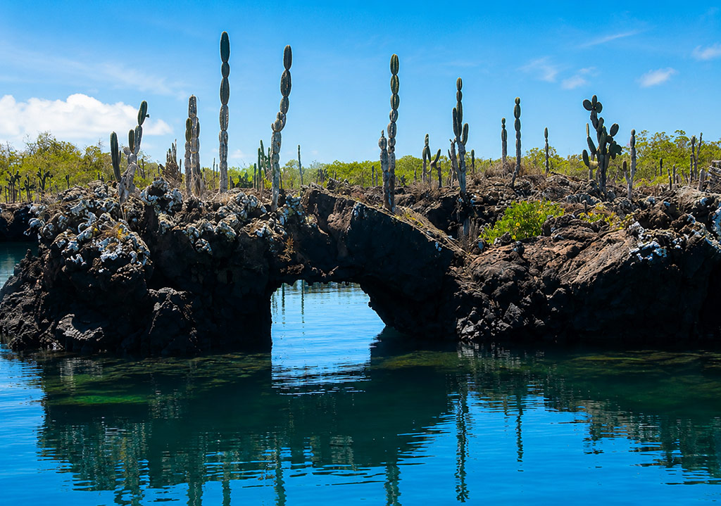 great-tours-ecuador-galapagos-island-8